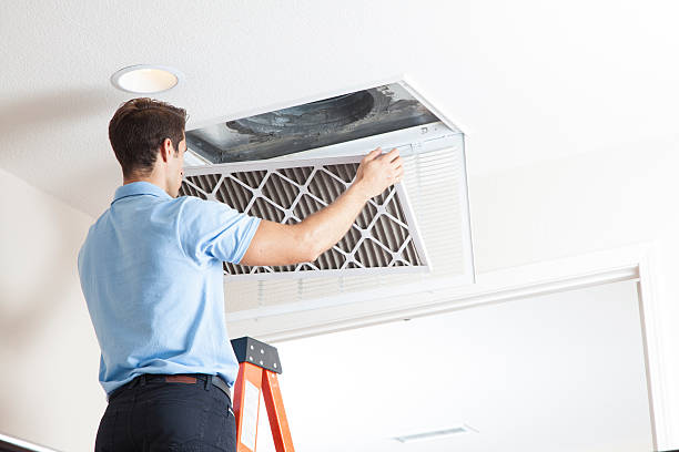 Best Air Filters and Purifiers in Dallas, OR